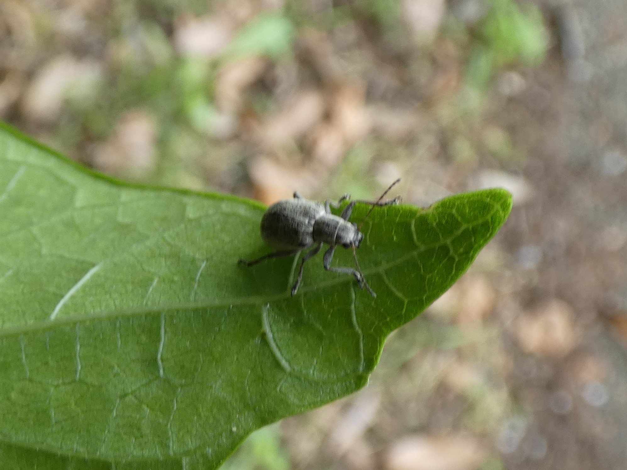 photo_1